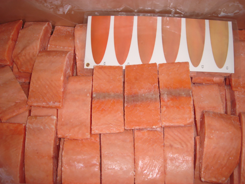 Chum-Salmon