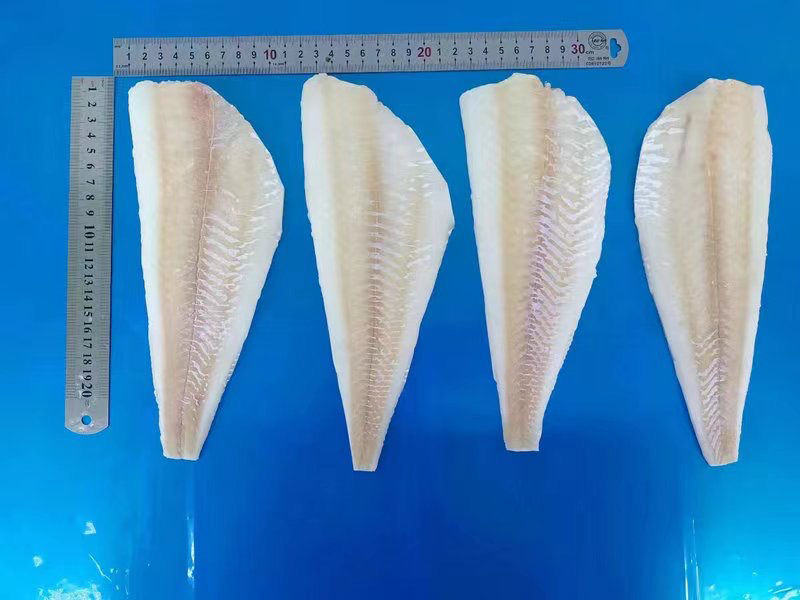 Haddock