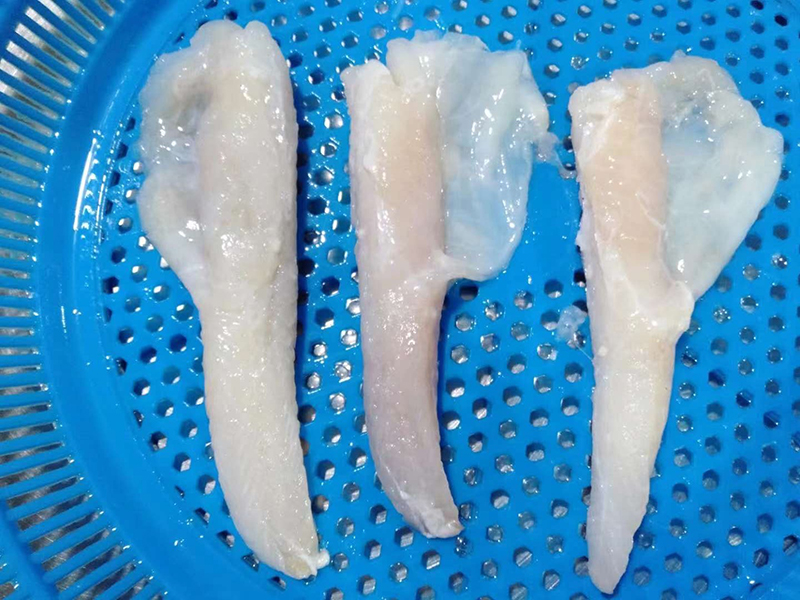 Monkfish Tail