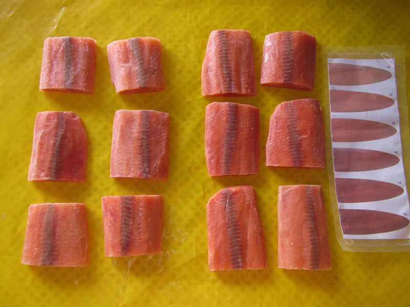 Pink Salmon