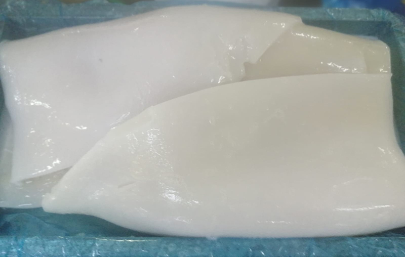 Giant Squid Fillet