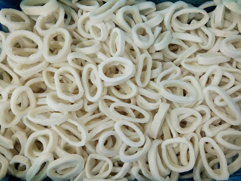 Todarodes Squid