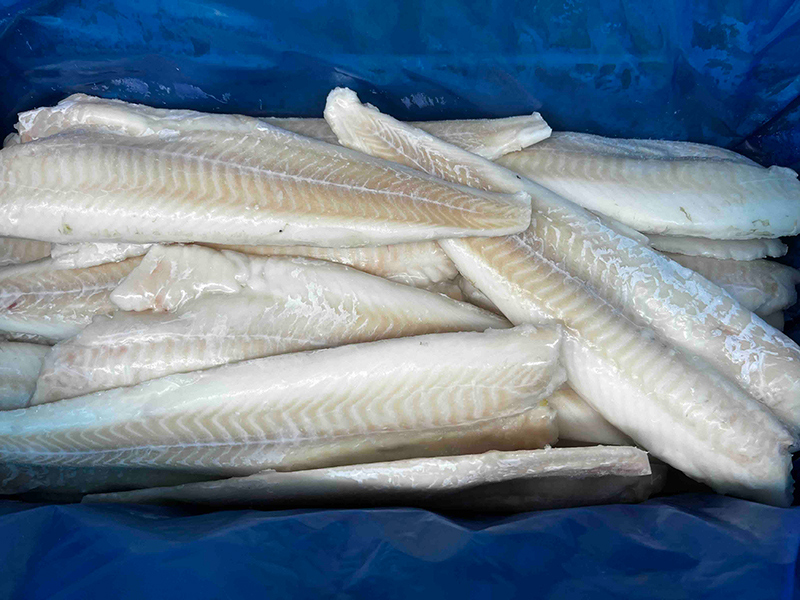 Atlantic/Pacific Cod Fish