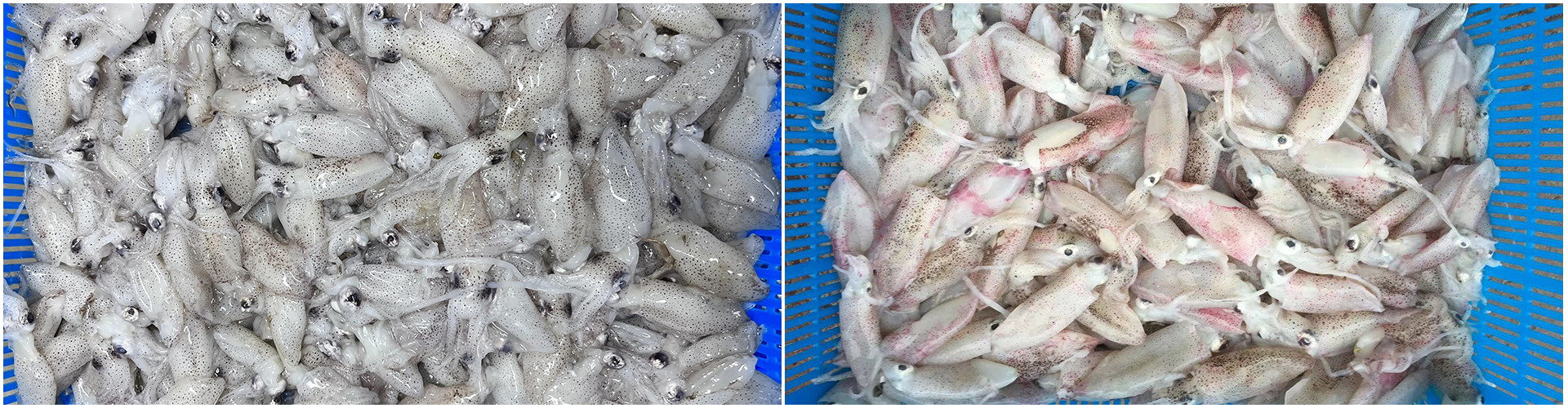 通栏图片