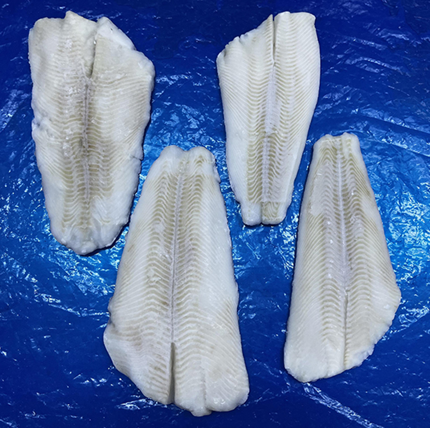 Fish Fillets