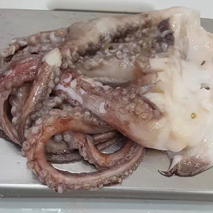 Import Seafood