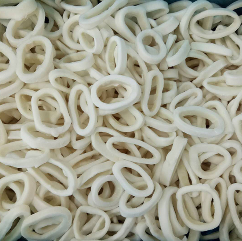 Squid
